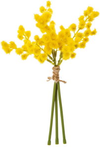  ԍ A[eBtBVt[ ~Uo` CG[ Be   Bep