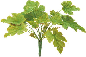  ԍ tFCNO[ lHϗtA q[P[tubV O[ Be   Bep