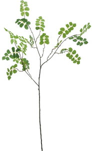  ԍ tFCNO[ lHϗtA AWA^Xv[ O[ Be   Bep