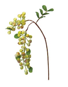  ԍ tFCNO[ lHϗtA tFCNO[ ~jnMOx[sbN(lH ϗtA  CTG} G} CeA A ݂邷) Be   Bep