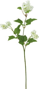  ԍ tFCNO[ lHϗtA zbvXv[ CgO[ Be   Bep