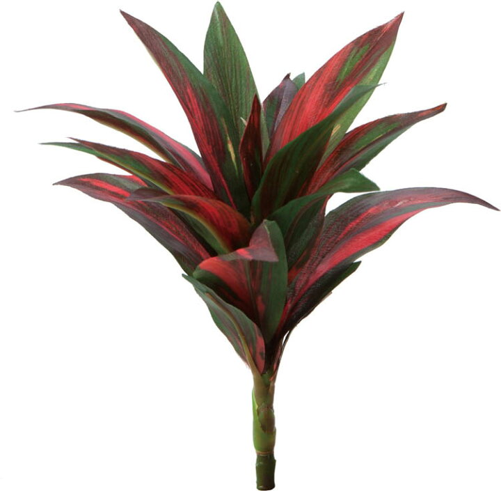 楽天市場 ミニコルジリネブッシュ グリーンレッド コリディリネ フェイクグリーンの神戸花物語