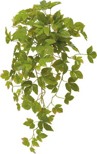  ԍ tFCNO[ lHϗtA VTXACr[ubV O[ Be   Bep