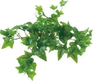  ԍ tFCNO[ lHϗtA bNvc ACr[S GR Be   Bep