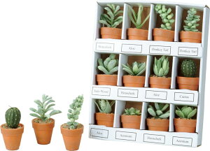  ԍ tFCNO[ lHϗtA v`JN^X|bg A\[g Be   Bep