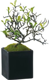 楽天市場 ツツジ 盆栽の通販