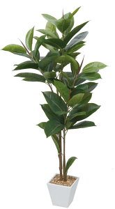 _Si|Cg5{^ 10/24 20:00`10/27 9:59  ԍ tFCNO[ lHϗtA SmL O[ Be   Bep