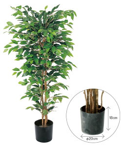  ԍ tFCNO[ lHϗtA xW~tBJX1.5M Be   Bep