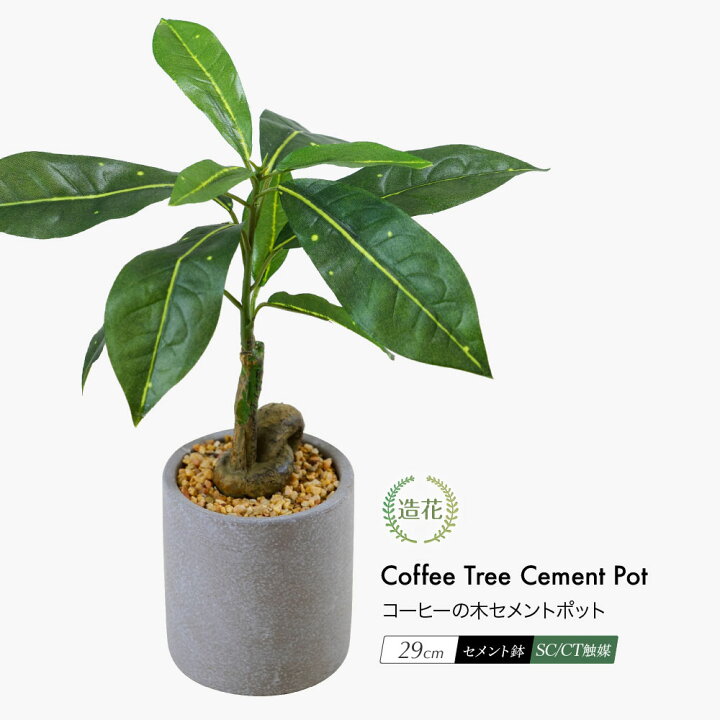 楽天市場 ミニ コーヒーの木 セメントポット 29cmフェイクグリーン 人工観葉植物 造花 光触媒 ミニ観葉 鉢植 Ct触媒 消臭 抗菌 お祝い 開業祝い プレゼント リラックス効果 花言葉 一緒に休みましょう コーヒーブレイク リビング 寝室 食後の休息 Nnf Fd フェイク