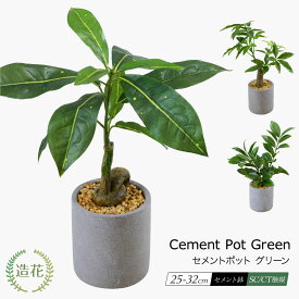 フェイクグリーン 観葉植物 フェイク 人工観葉植物 卓上 ミニ 小さい 光触媒 造花 ミニ観葉 おしゃれ かわいい テーブル サイズ 鉢植 CT触媒 消臭 抗菌 お祝い プレゼント テーブル 人気 コーヒーノキ パキラ ザミフォリア / セメントポットグリーン [nnf][fd][rcp]