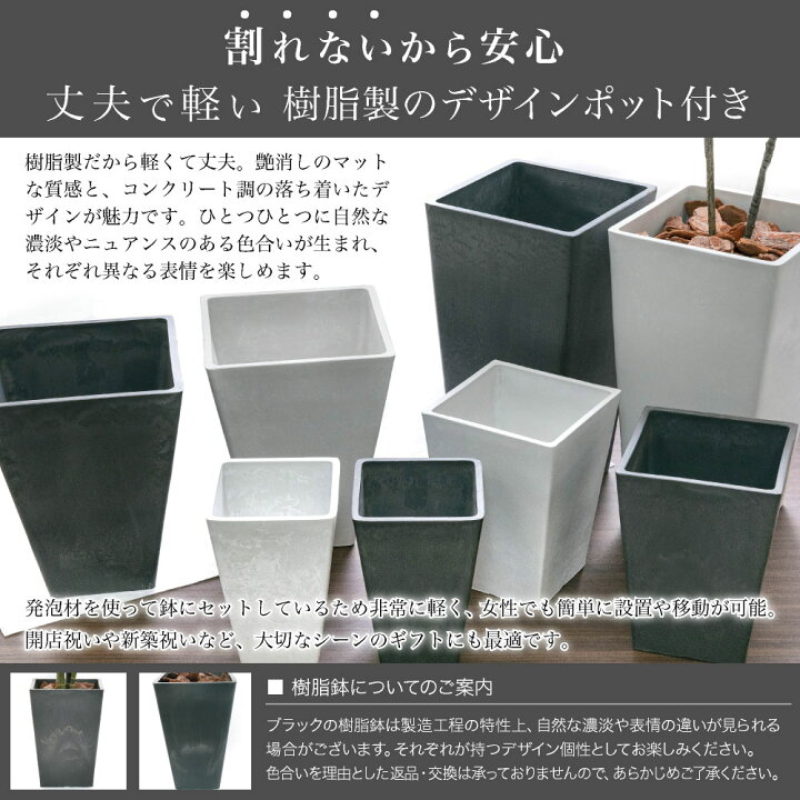 楽天市場】フェイクグリーン 観葉植物 フェイク 人工観葉植物 大型 