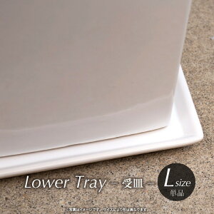 M 󂯎M 퐻 LTCY O28cm PiwOK