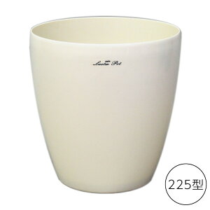 X^[|bg225^ zCg ϗtA  tFCNO[  |bg