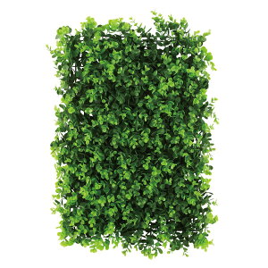 lHϗtA tFCNO[ ϗtA  v~ CgO[ A CeA  tFCN O[ CTG} L R