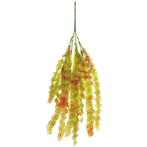 y6璍\z lHϗtA tFCNO[ ϗtA    45cm CeA  tFCN O[ CTG} L R