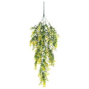 y6璍\z lHϗtA tFCNO[ ϗtA    80cm CeA  tFCN O[ CTG} L R