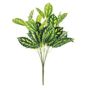 y6璍\z XCJyy~A  30cm lHϗtA tFCNO[  CeA  CTG} L R