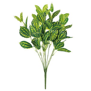 y6璍\z XCJyy~A  48cm lHϗtA tFCNO[  CeA  CTG} L R