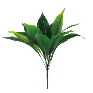 y6璍\z lHϗtA tFCNO[ ϗtA  ^j^  50cm CeA  tFCN O[ CTG} L R