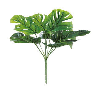 y6璍\z Xe  30cm lHϗtA tFCNO[  CeA  CTG} L R