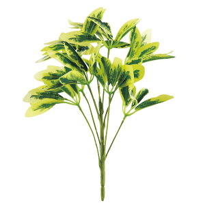 y6璍\z J|bN 30cm lHϗtA tFCNO[ ϗtA  VFt CeA  CTG} L R