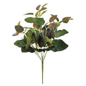 y6璍\z yy~A 38cm lHϗtA tFCNO[  CeA  CTG} L R