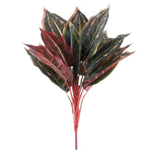 y6璍\z }Ri  40cm lHϗtA tFCNO[  CeA  CTG} L R