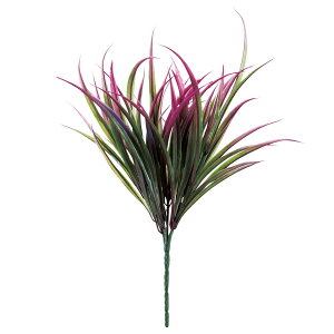 y6璍\z   35cm lHϗtA tFCNO[  CeA  CTG} L R