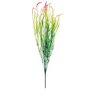 y6璍\z  EB[ 50cm lHϗtA tFCNO[  CeA  CTG} L R