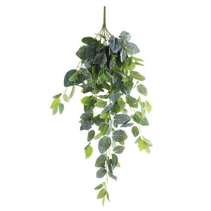 lHϗtA tFCNO[ ϗtA  yy~A L 100cm CeA  tFCN O[ CTG} L R