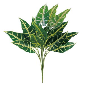 y6璍\z VSWE 50cm lHϗtA tFCNO[ ϗtA  VSjE CeA  CTG} L R