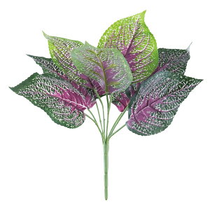 y6璍\z gfBXJ`A 30cm lHϗtA tFCNO[  CeA  CTG} L R