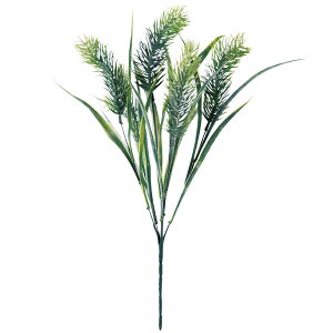 y6璍\z  45cm lHϗtA tFCNO[  CeA  CTG} L R