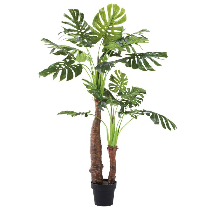 楽天市場】フェイクグリーン 人工観葉植物 造花 大型 モンステラ 中 