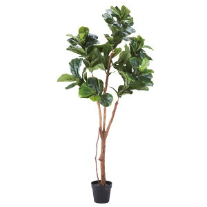 tFCNO[ lHϗtA  ^ JVoS 180cm CeA  tFCN O[