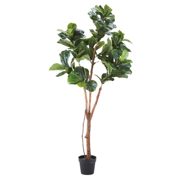 楽天市場】フェイクグリーン 人工観葉植物 造花 大型 カシワバゴム 