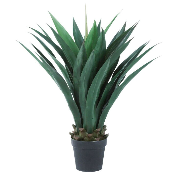 楽天市場】フェイクグリーン 人工観葉植物 造花 アガベ 90cm 多肉植物 