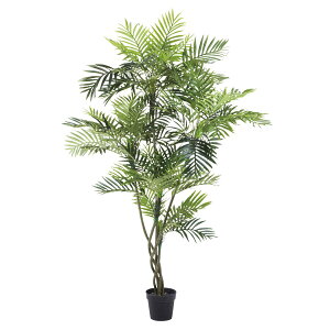 tFCNO[ lHϗtA  ^ AJV Ȃ 180cm CeA  tFCN O[