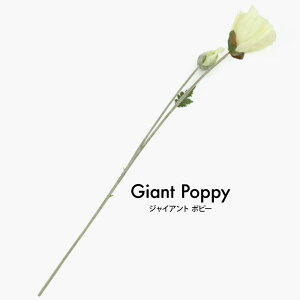 ԍ  Bep   WCAgE|s[ 90cm ϗtA  N[ lHϗtA ԍ  fBXvC  [rcp]