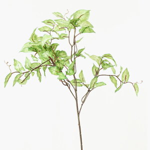 tFCNO[ }  ԍ A[eBtBVt[ lHϗtA JW[ 1{ CeA G} CTG} L R AW A[gt[ fBXvC VNt[