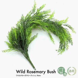 Ch[Y}[ubV70cm tFCNO[ ϗtA  lHϗtA G} tFCN O[ CeA CTG} fBXvC  [rcp]