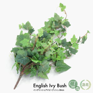 CObVACr[ubV80cm tFCNO[ ϗtA  lHϗtA G} tFCN O[ CeA CTG} fBXvC  [rcp]