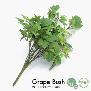 O[vubV O[ 60cm tFCNO[ ϗtA  lHϗtA G} tFCN O[ CeA CTG} fBXvC  [rcp]