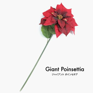 WCAg|CZ`A 63cm tFCNO[ ϗtA  G} SC/CTG} ԍ  fBXvC  [rcp]