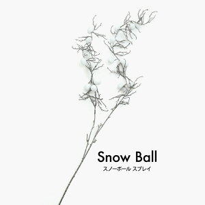 Xm[{[XvC 106cm tFCNO[ ϗtA  lHϗtA ԍ  fBXvC  [rcp]