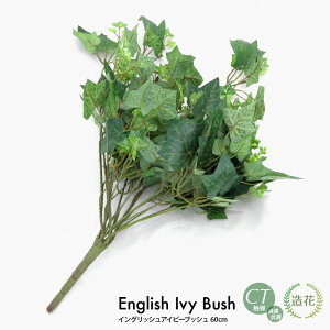 CObVACr[ubV 60cm tFCNO[ ϗtA  lHϗtA G} tFCN O[ CeA CTG} fBXvC  [rcp]