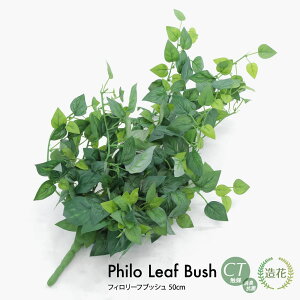 tFCNO[ } tB[tubV 50cm ϗtA  lHϗtA G} tFCN O[ CeA CTG} fBXvC  [rcp]