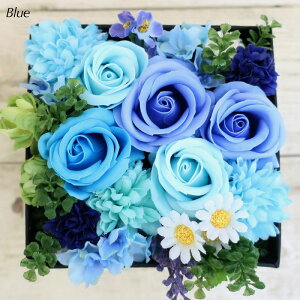 \[vt[  v[g t[{bNX BOX AW t[EfEr ̓ yv[g 蕨 Mtg jz [whd][md][kd][fd]