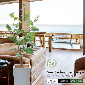 フェイクグリーン 観葉植物 フェイク 人工観葉植物 大型 おしゃれ 光触媒 消臭 抗菌 風水 造花 リビング 本物そっくり 鉢植え 陶器 CT触媒 リアル インテリア 北欧 お祝い ハマベブドウ / ニュージーランド シーグレープ 110cm [rcp]