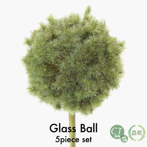  A[eBtBVt[ ԍ tFCNO[ CeA  fBXvC G}  CTG} L R / OX{[ 5{Zbg [rcp]